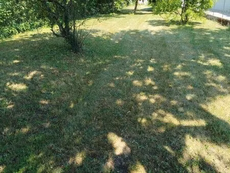 terrain