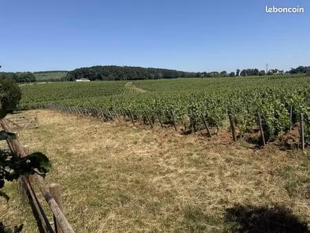 terrain 431 m² chaintre