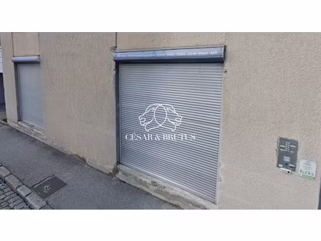 immobilier professionnel à louer lyon