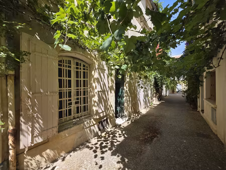 arles centre historique  maison avec terrasse  garage et cou