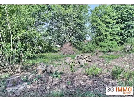 terrain constructible