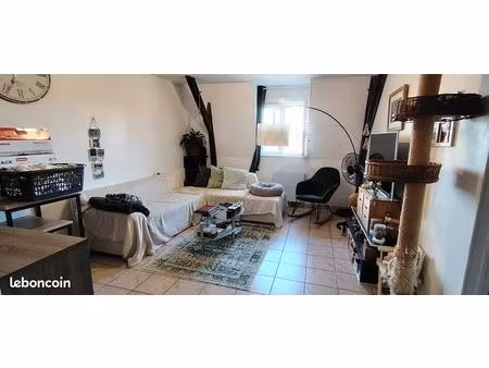 appartement 50m²