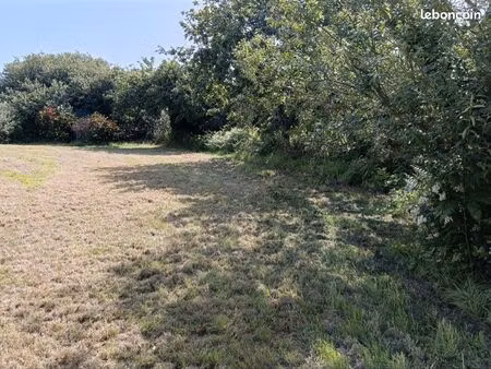 terrain de caravane