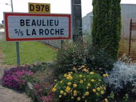 vente terrain à beaulieu-sous-la-roche (85190) : à vendre / beaulieu-sous-la-roche
