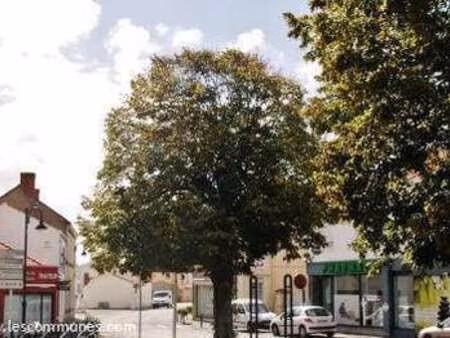 vente terrain à commequiers (85220) : à vendre / commequiers