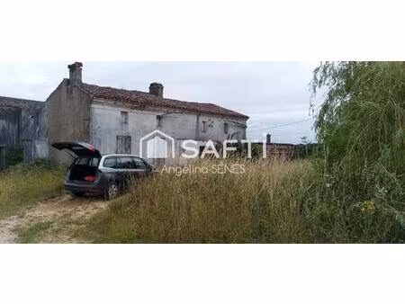 très gros potentiel  maison + 400m² de dépendances