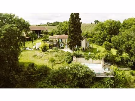sublime propriété avec gîtes et piscines sur 2 hectares