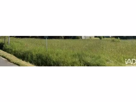 terrain à bâtir à romorantin-lanthenay (41200)