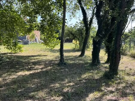 terrain