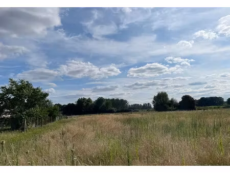 vente maison neuve 5 pièces 110 m² à ouzilly (86380)  184 284 €
