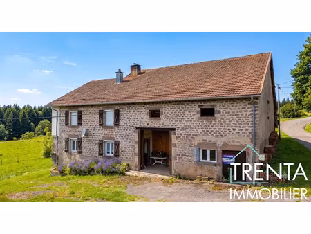 vente ferme 4 pièces 101.03 m² à ternuay-melay-et-saint-hilaire (70270)  195 000 €