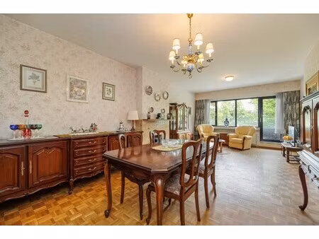 ruim en lichtrijk 2-slpk appartement met terras en kelderberging in borgerhout!