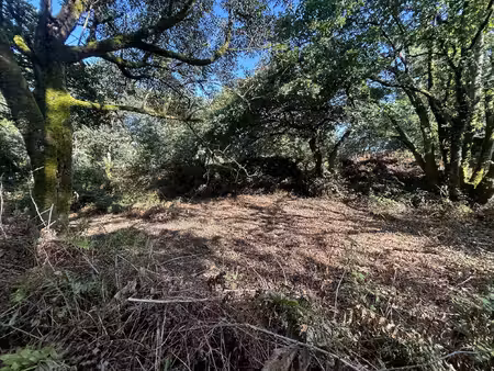 achat terrain 605m² quistinic 56310