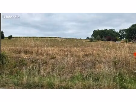 terrain 1 320 m² saint savin