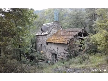 maison et 5 hectares