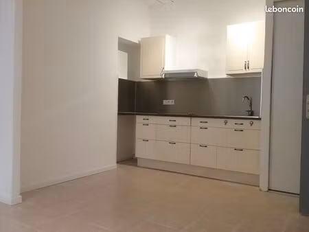 appartement 1 pièce 20 m²
