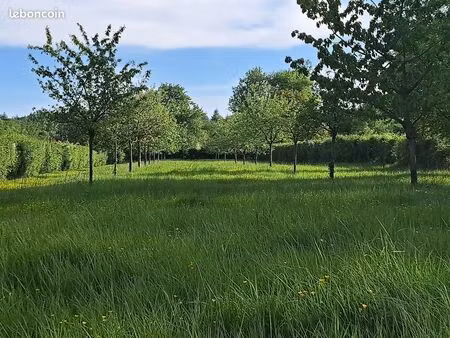 terrain constructible