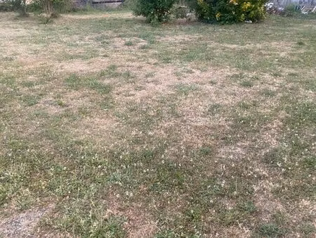 terrain constructible