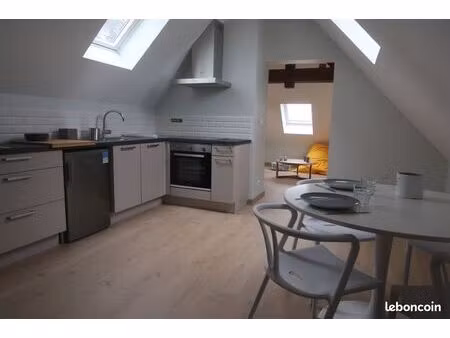 charmant appartement beaugency