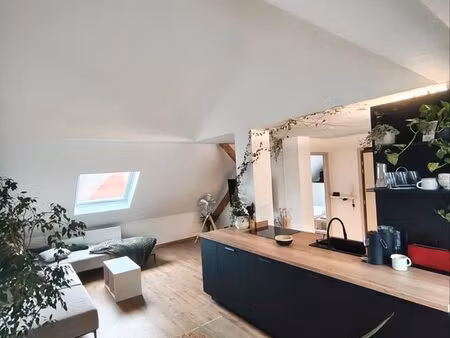 appartement 2 pièces 45m²
