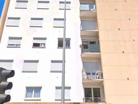 grand appartement t3 faculté