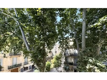 appartement à vendre f4 110 m² montpellier centre historique canourgue