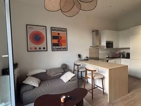 magnifique appartement lille vauban
