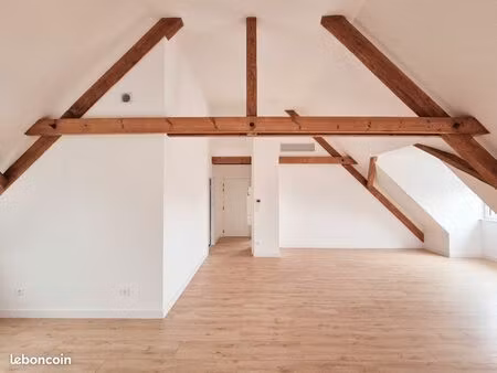 magnifique appartement loft