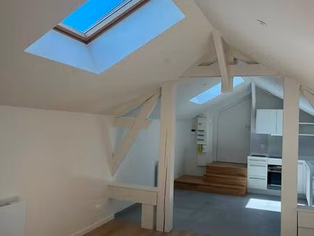 loft mansardé avec parking nancy thermal