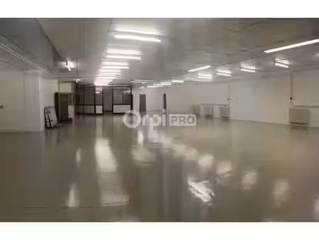 location entrepôt dole 39100 800m² à 1128m²