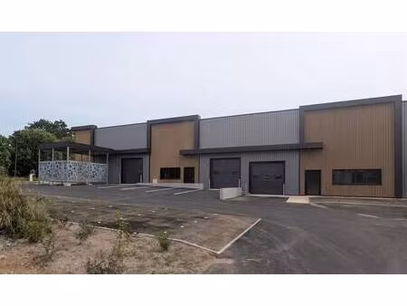 location local d’activités saint ave 56890 147m²
