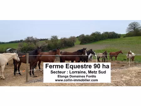 achat terrain 900 000m² metz 57000