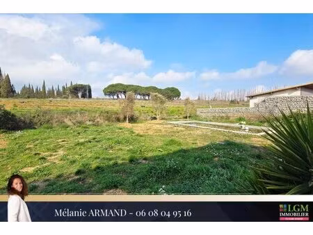 saint gilles - villa avec grand terrain et vue degagée