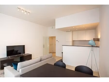 lichtrijk - appartement 1 kamer met binnenplaats (navo area)