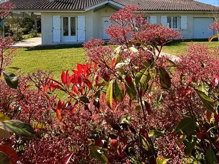 maison de plain-pied de 95 m2  grand jardin - gascogne
