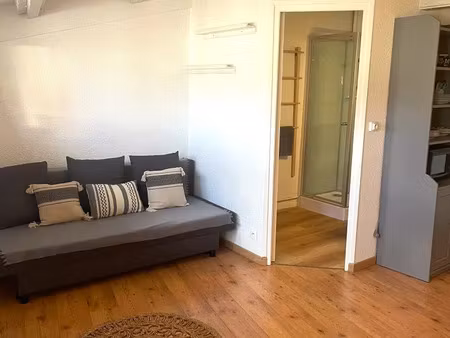 location appartement 1 pièce 19 m² à toulouse (31000)