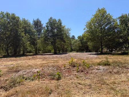vente terrain 1246 m² balizac (33730)