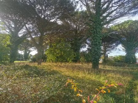 vente terrain 1000 m² saint-maixant (33490)