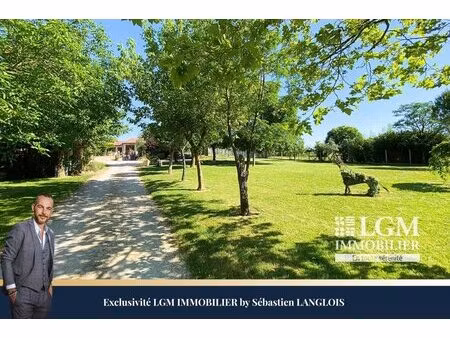 paulhac 31380  propriété d'exception avec maison et pension canine