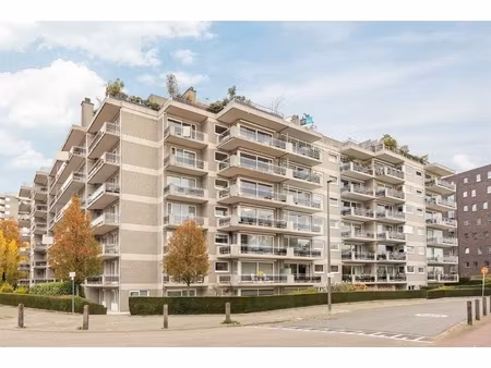 appartement te koop in berchem met 3 slaapkamers
