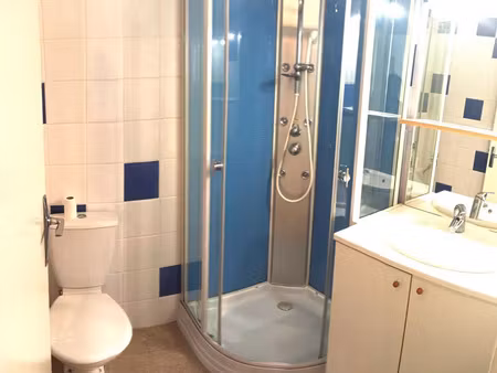 location appartement 1 pièce 30 m² à saint-étienne (42000)