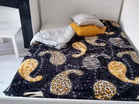 maison en colocation à rue maria malibran ixelles (vbe38708)