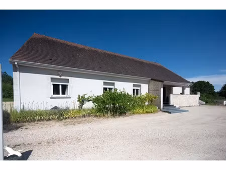vente maison 5 pièces 196 m² pruniers-en-sologne (41200)