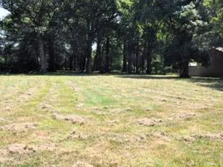 vente terrain à rouans (44640) : à vendre / 2810m² rouans