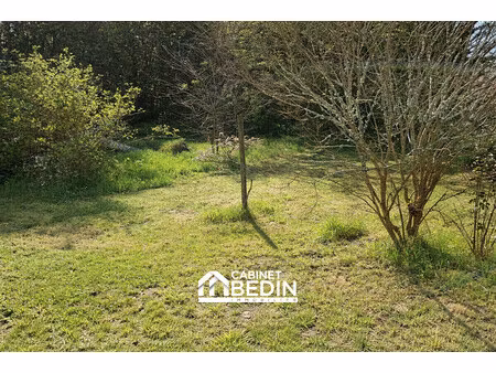 terrain 439 m²
