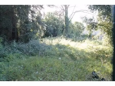 terrain constructible