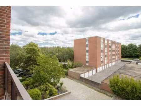 studio rénové avec coin chambre et petite terrasse