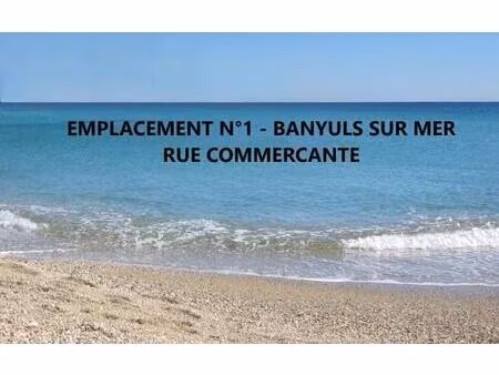 location commerce banyuls sur mer 66650 52m²