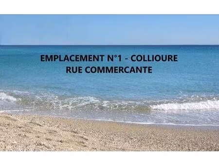 location commerce collioure 66190 31m²