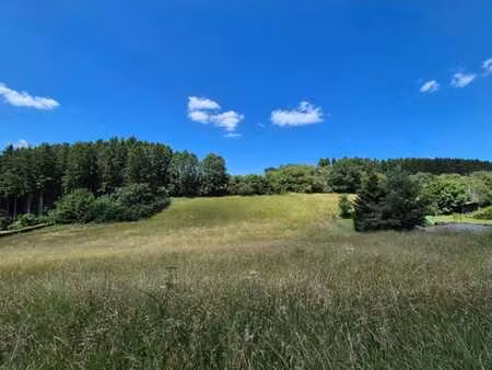 deux belles parcelles à bâtir à manhay